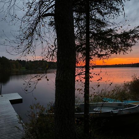 Taigaschool Eco Hotel Virrankyla Bagian luar foto