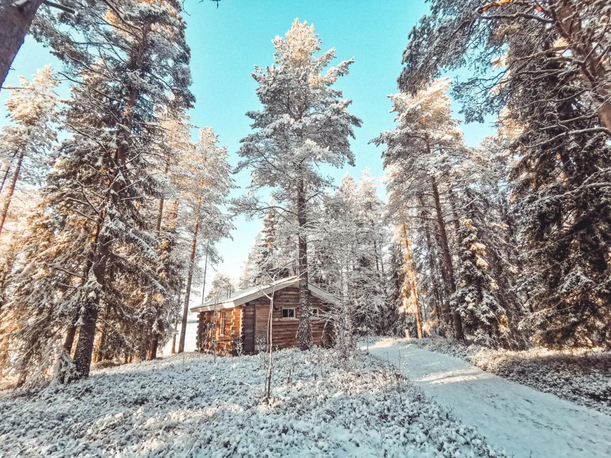 Taigaschool Eco Hotel Virrankyla Bagian luar foto