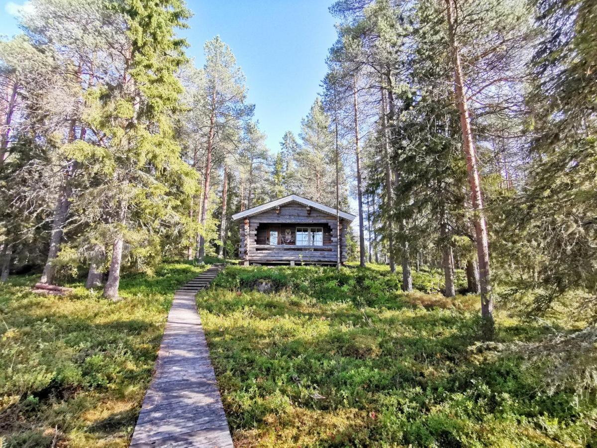 Taigaschool Eco Hotel Virrankyla Bagian luar foto
