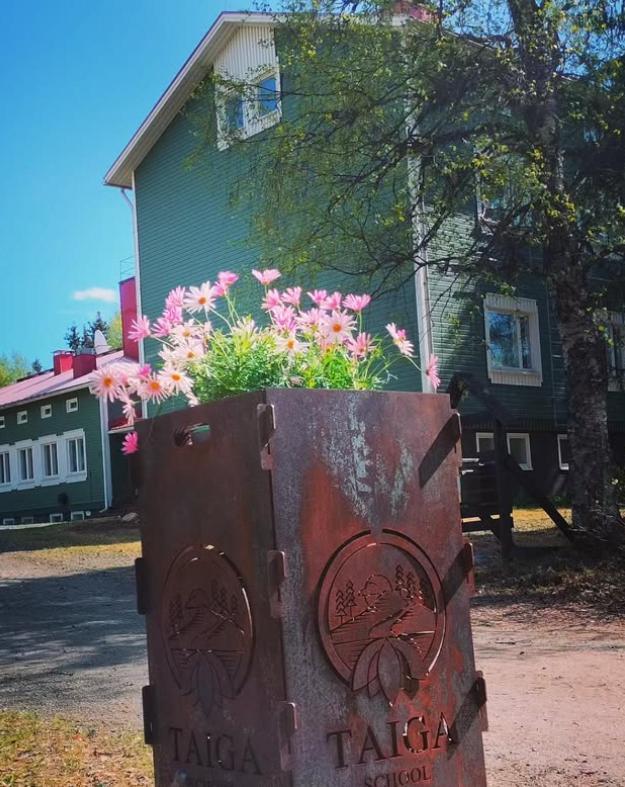 Taigaschool Eco Hotel Virrankyla Bagian luar foto